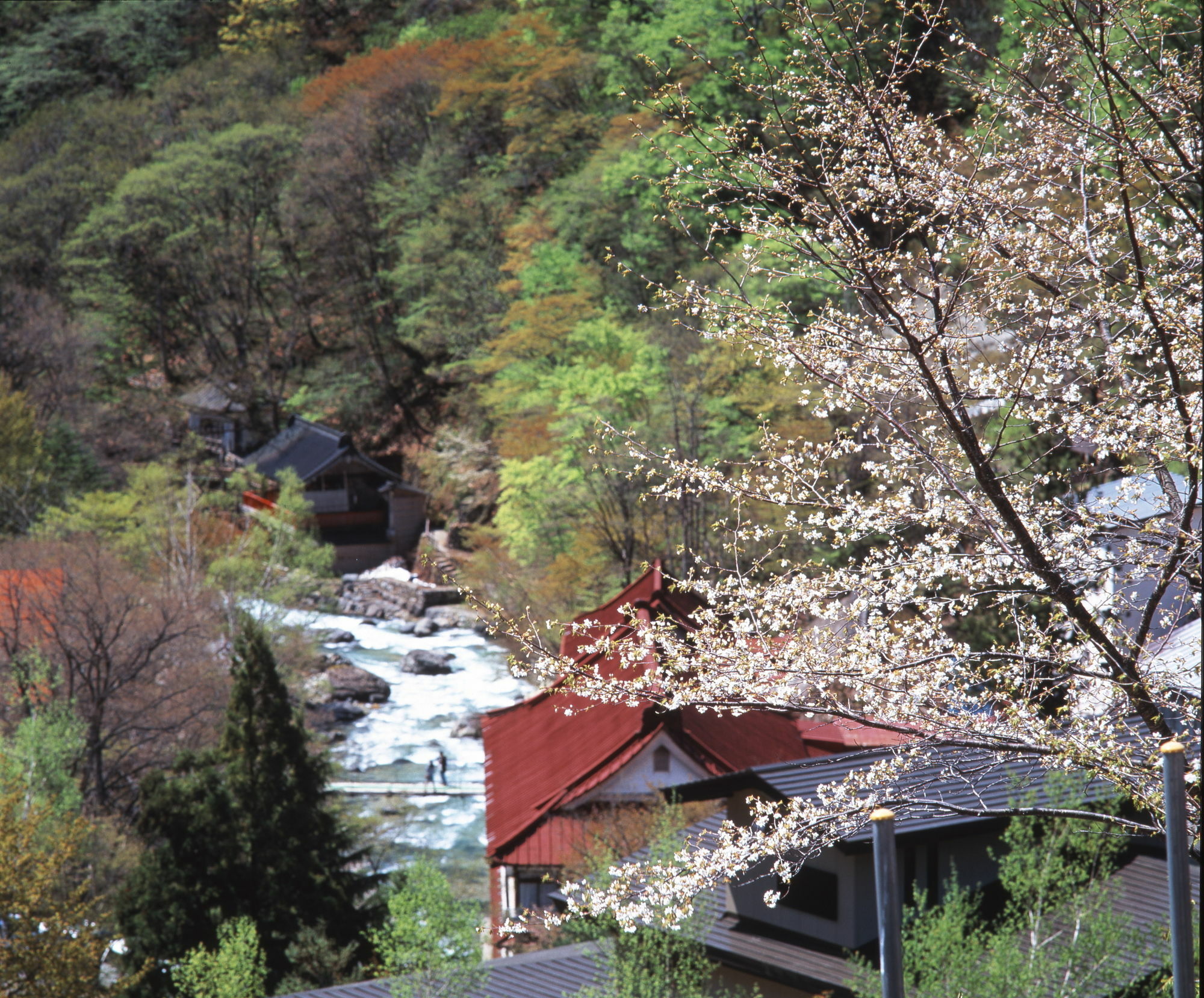 מלון מינקמי Takaragawa Onsen Ousenkaku מראה חיצוני תמונה