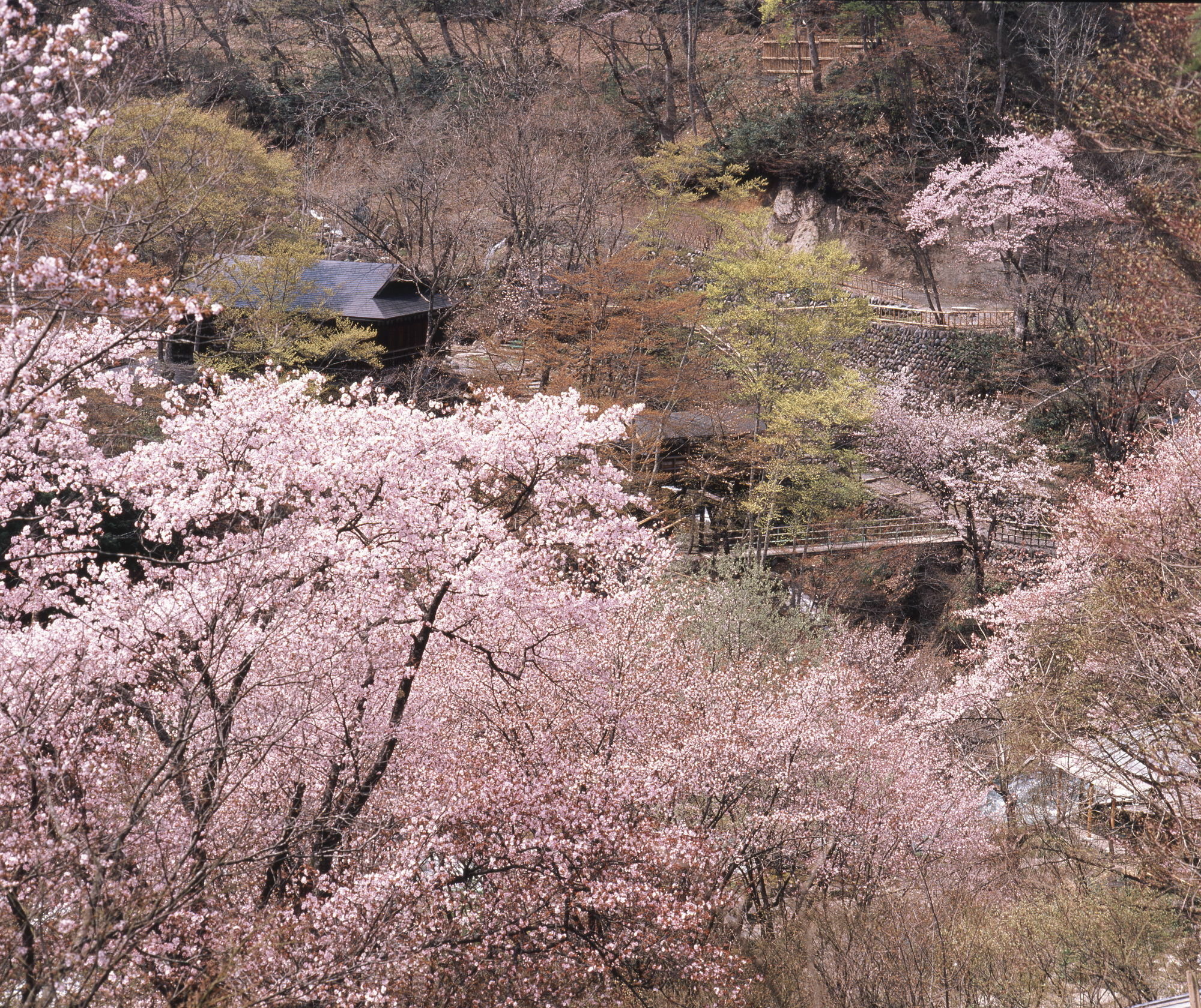 מלון מינקמי Takaragawa Onsen Ousenkaku מראה חיצוני תמונה