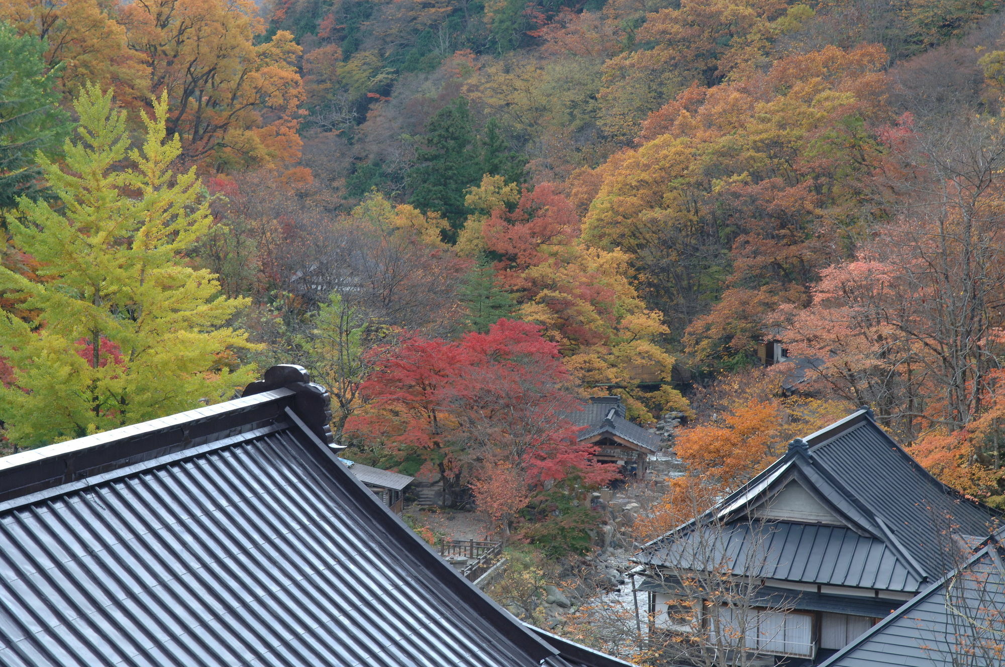 מלון מינקמי Takaragawa Onsen Ousenkaku מראה חיצוני תמונה